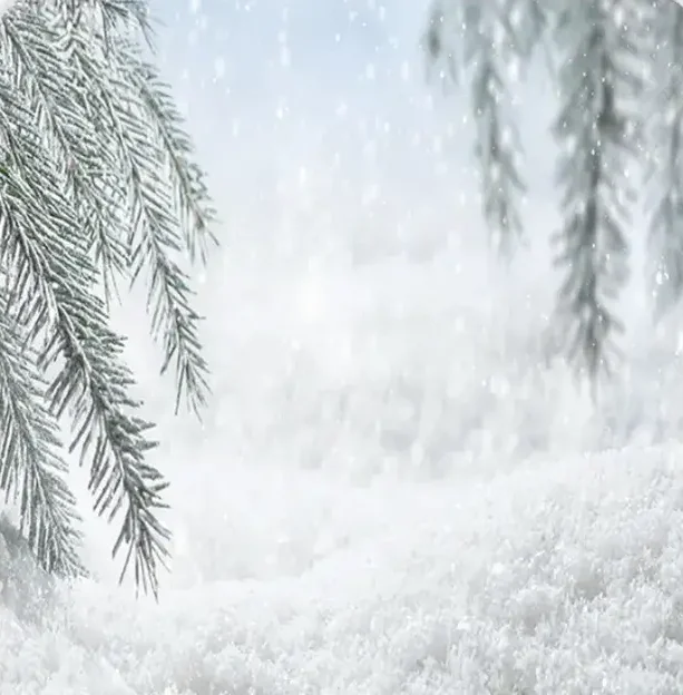 Holiday Snowy Leaves