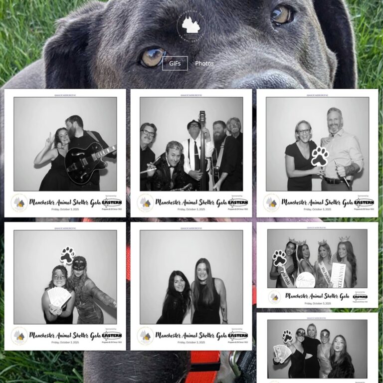 A custom event photo gallery microsite with a branded background and a grid of photo strips